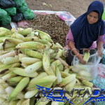 Prediksi Togel HK 9 September 2026