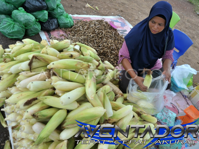 Prediksi Togel HK 9 September 2026