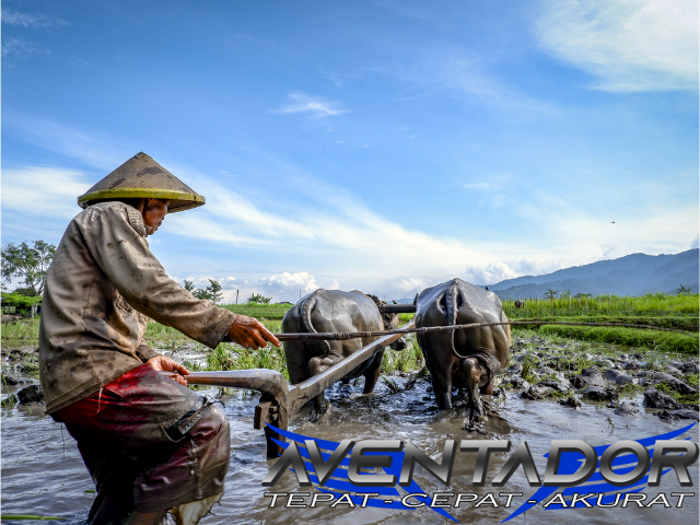Prediksi Togel SDY 19 September 2026